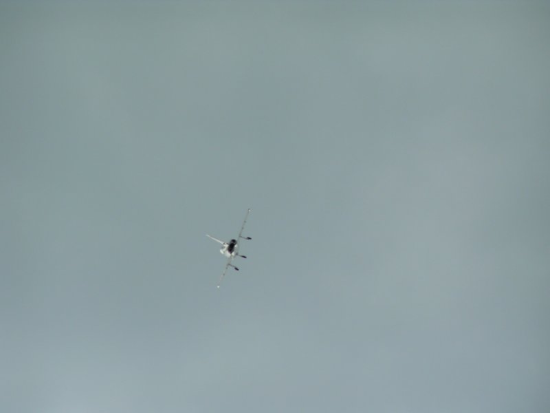 pict0762.jpg